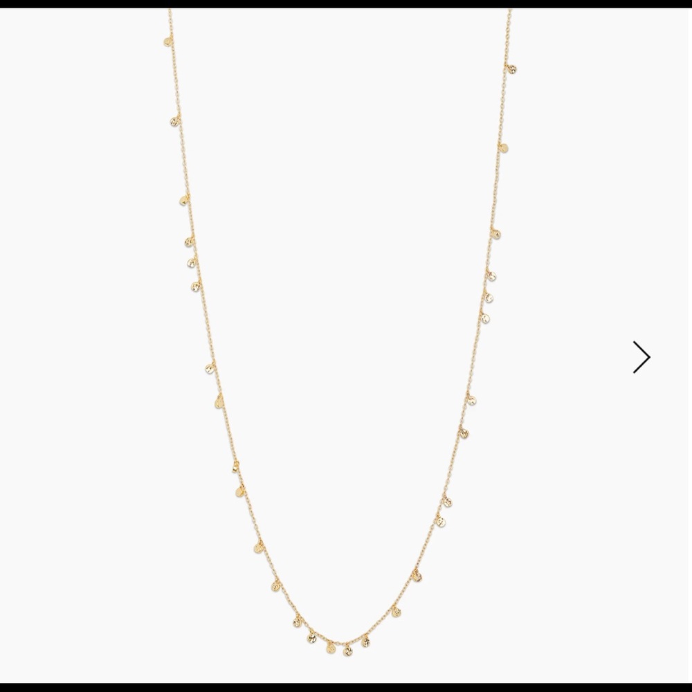 Gorjana Chloe mini long necklace